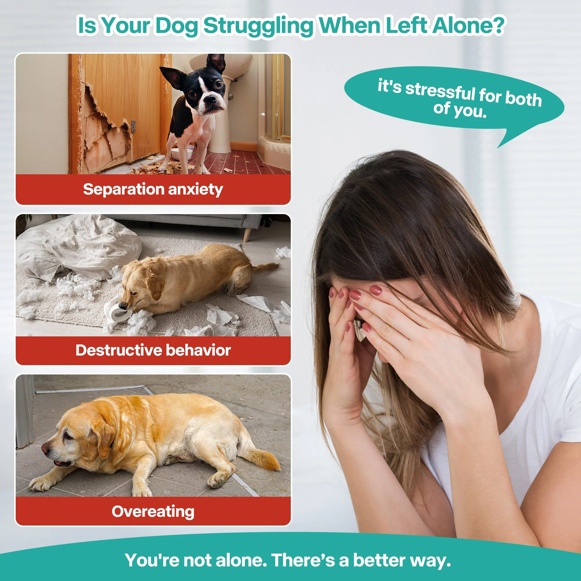 Chill Out - Lick‘A’Disk Dog Lick Mat Summer Slow Feeder for Dogs - Image 3