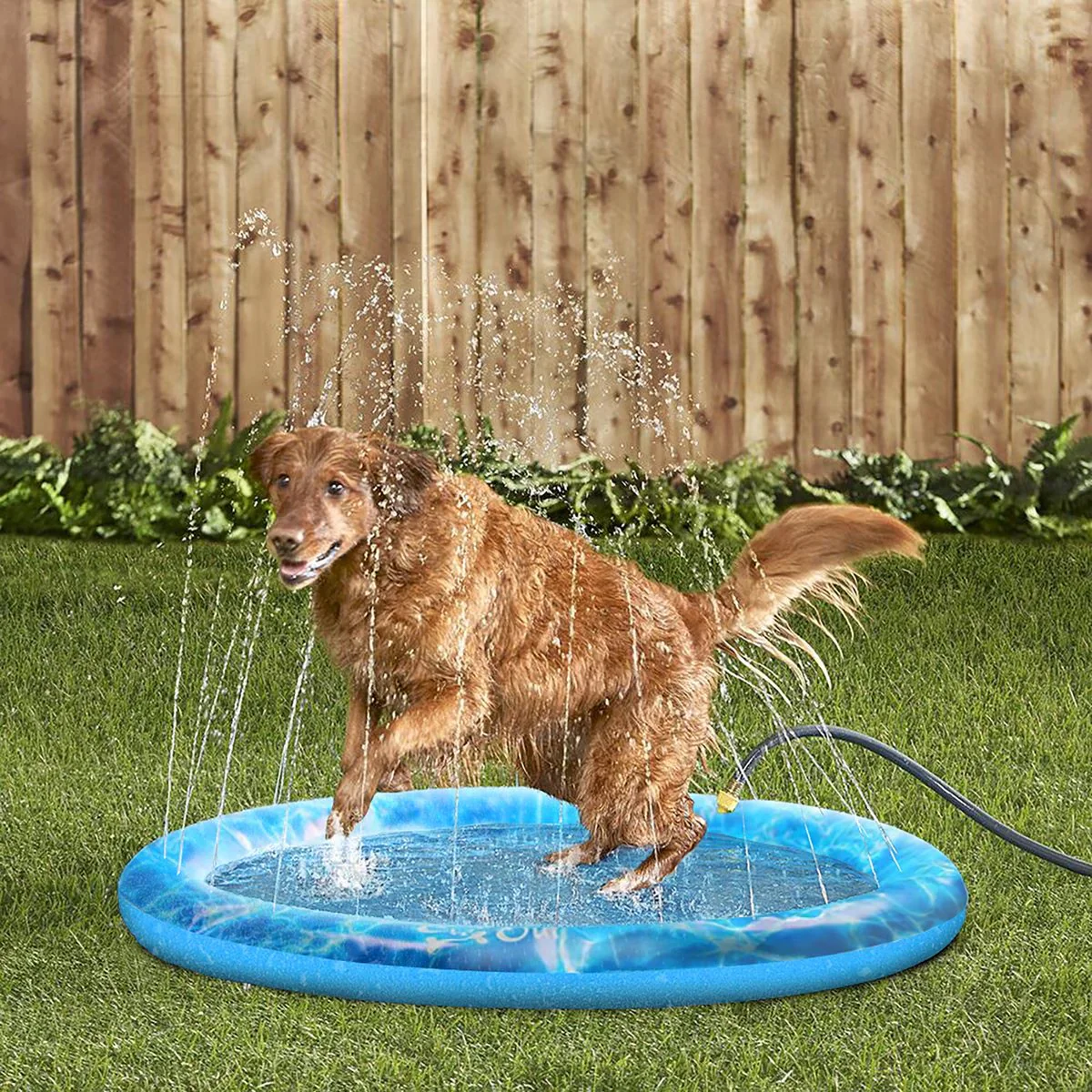 Chill Out - Sprinkler Fun Mat Cool Down Play Mat for Pets - Image 10