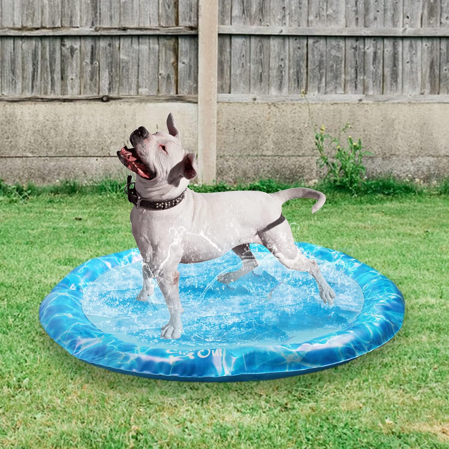 Chill Out - Sprinkler Fun Mat Cool Down Play Mat for Pets - Image 9