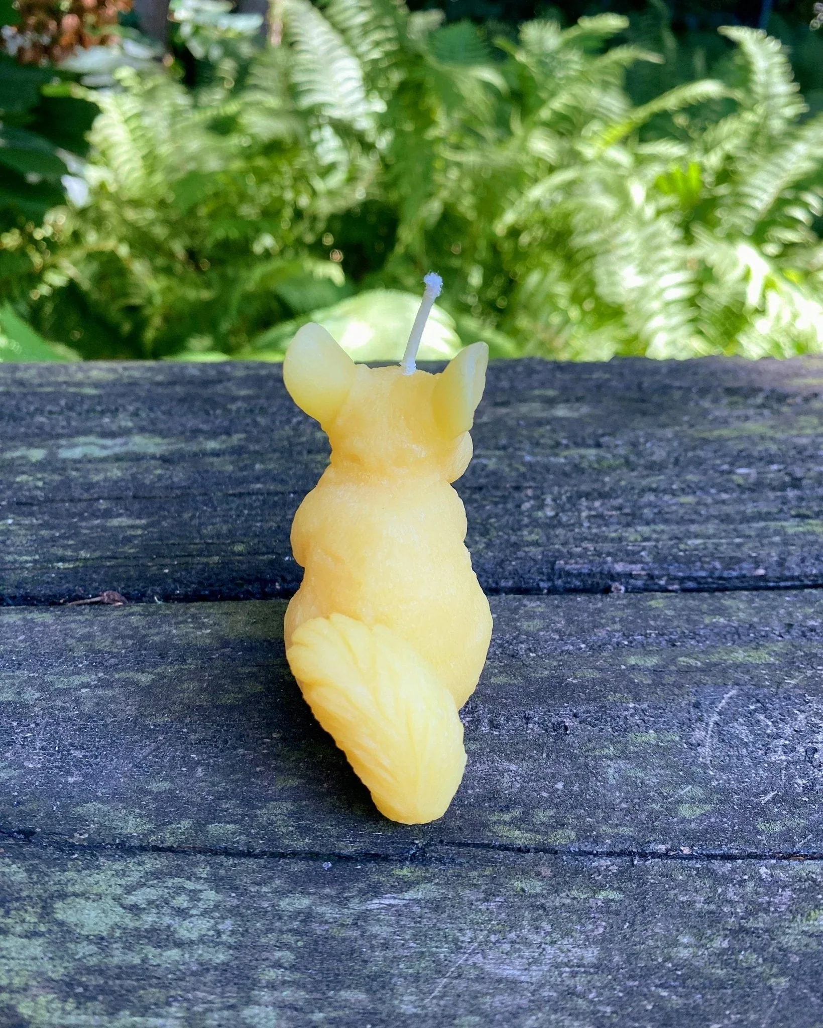 Chinchilla Beeswax Candle - Image 5