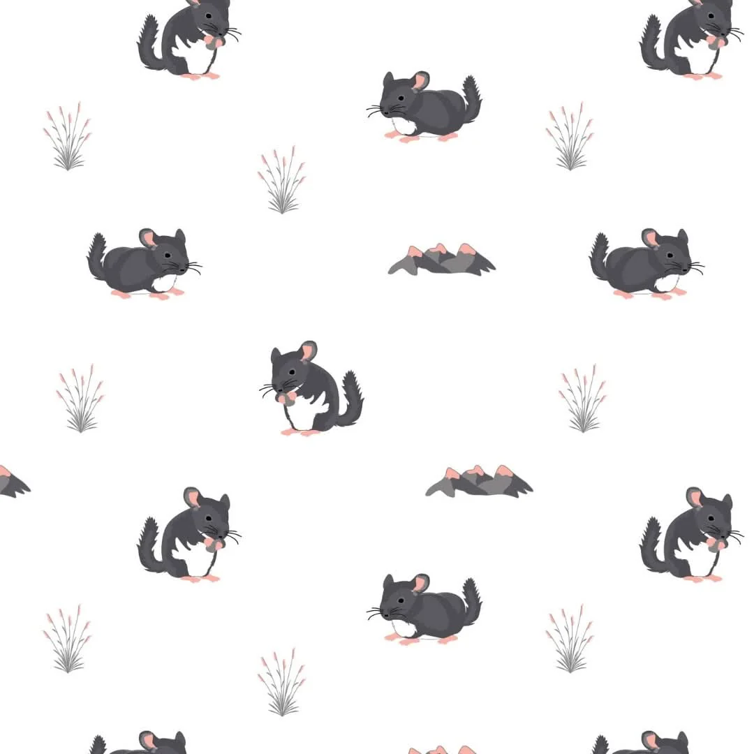 Chinchilla | Snap Footie - Image 4