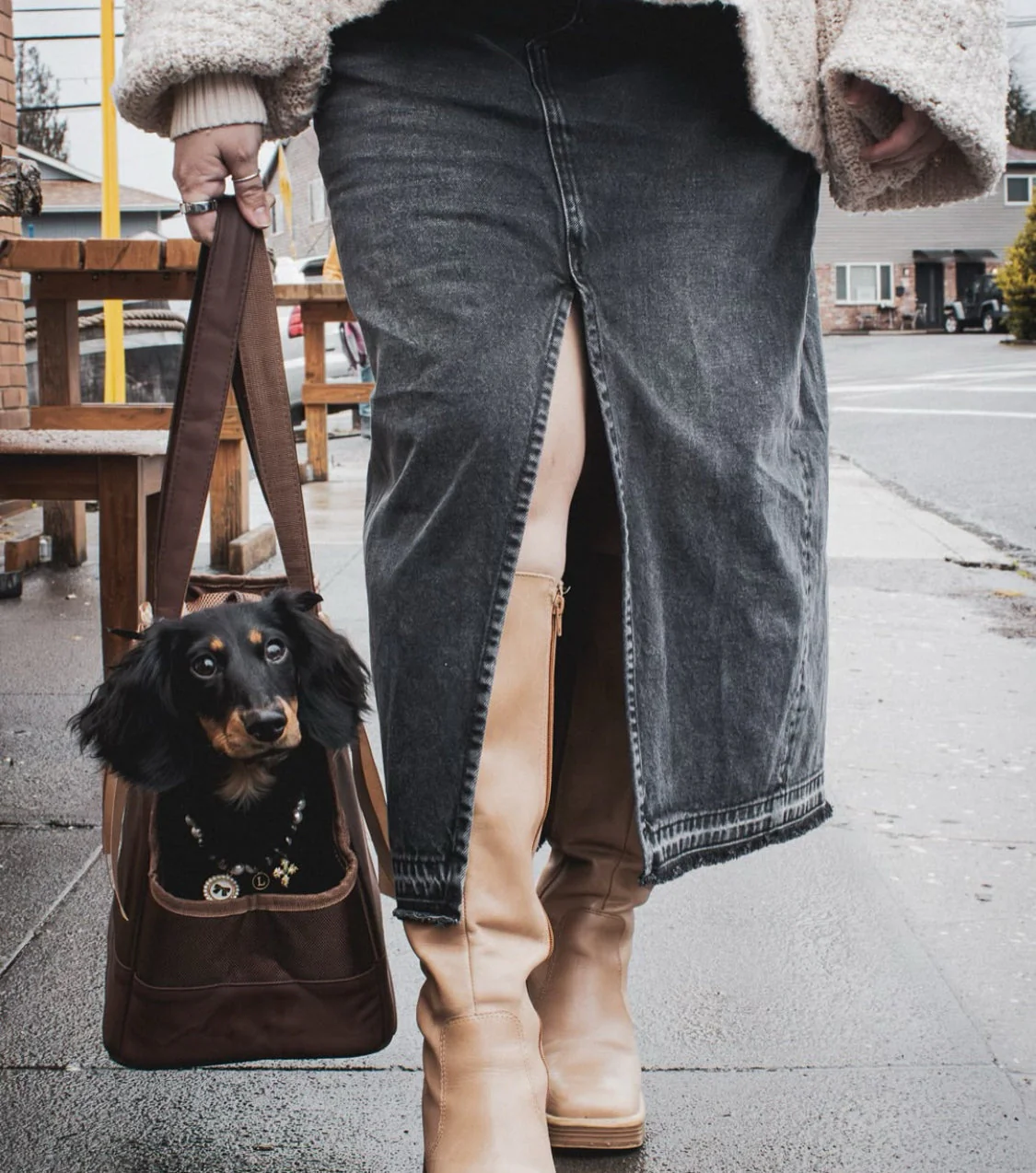 Chocolate Brown Pet Tote Bag - Image 10