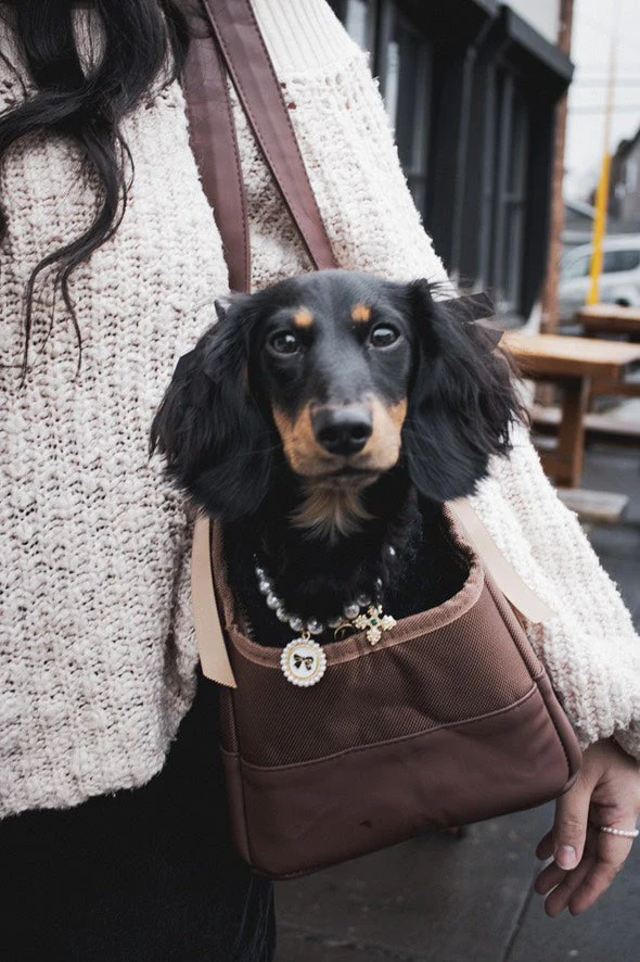 Chocolate Brown Pet Tote Bag - Image 9