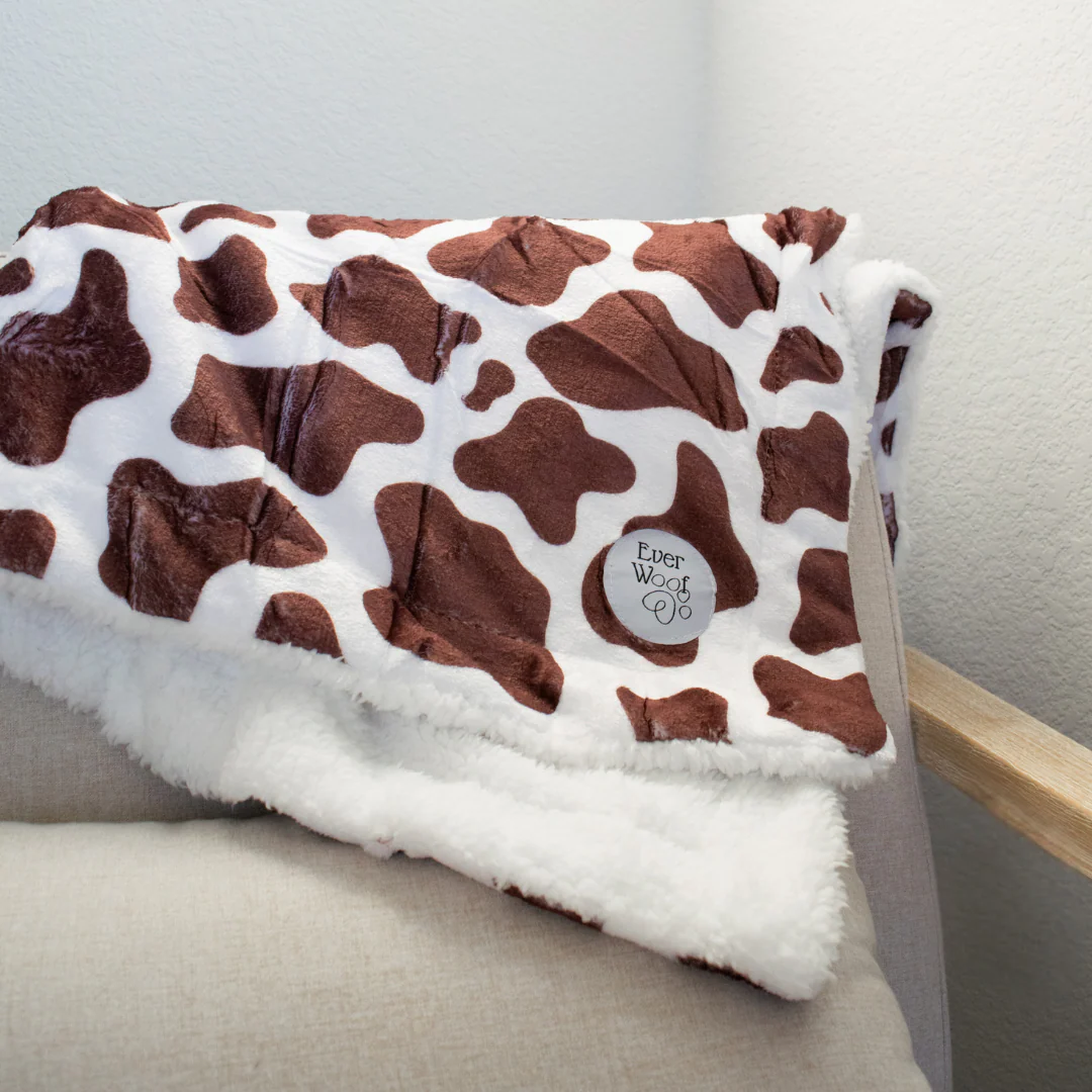 Chocolate Cow Dog Blanket - Image 3