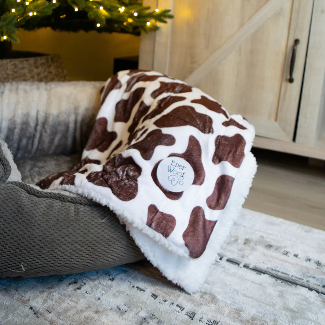 Chocolate Cow Dog Blanket - Image 4