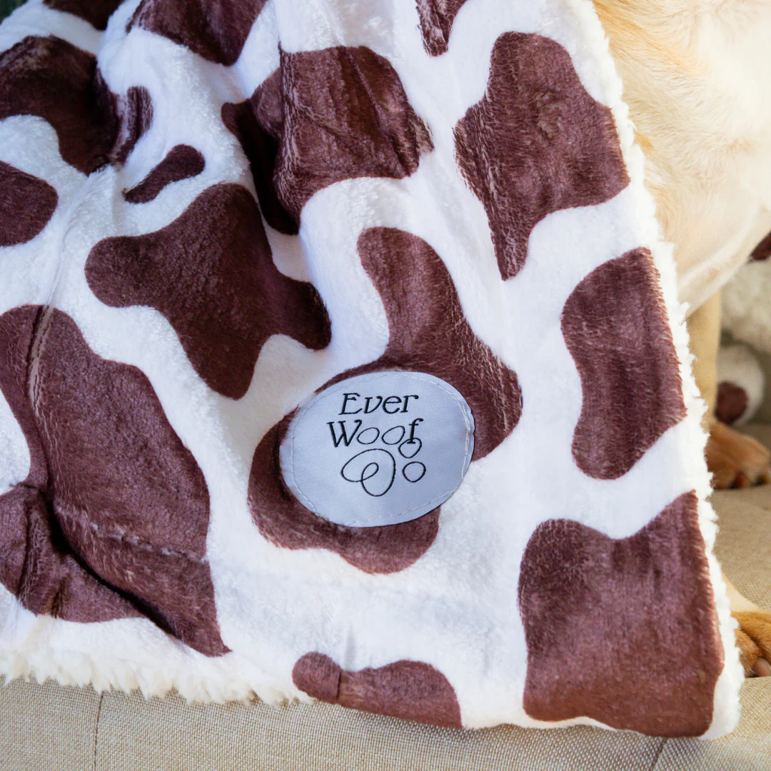 Chocolate Cow Dog Blanket - Image 5