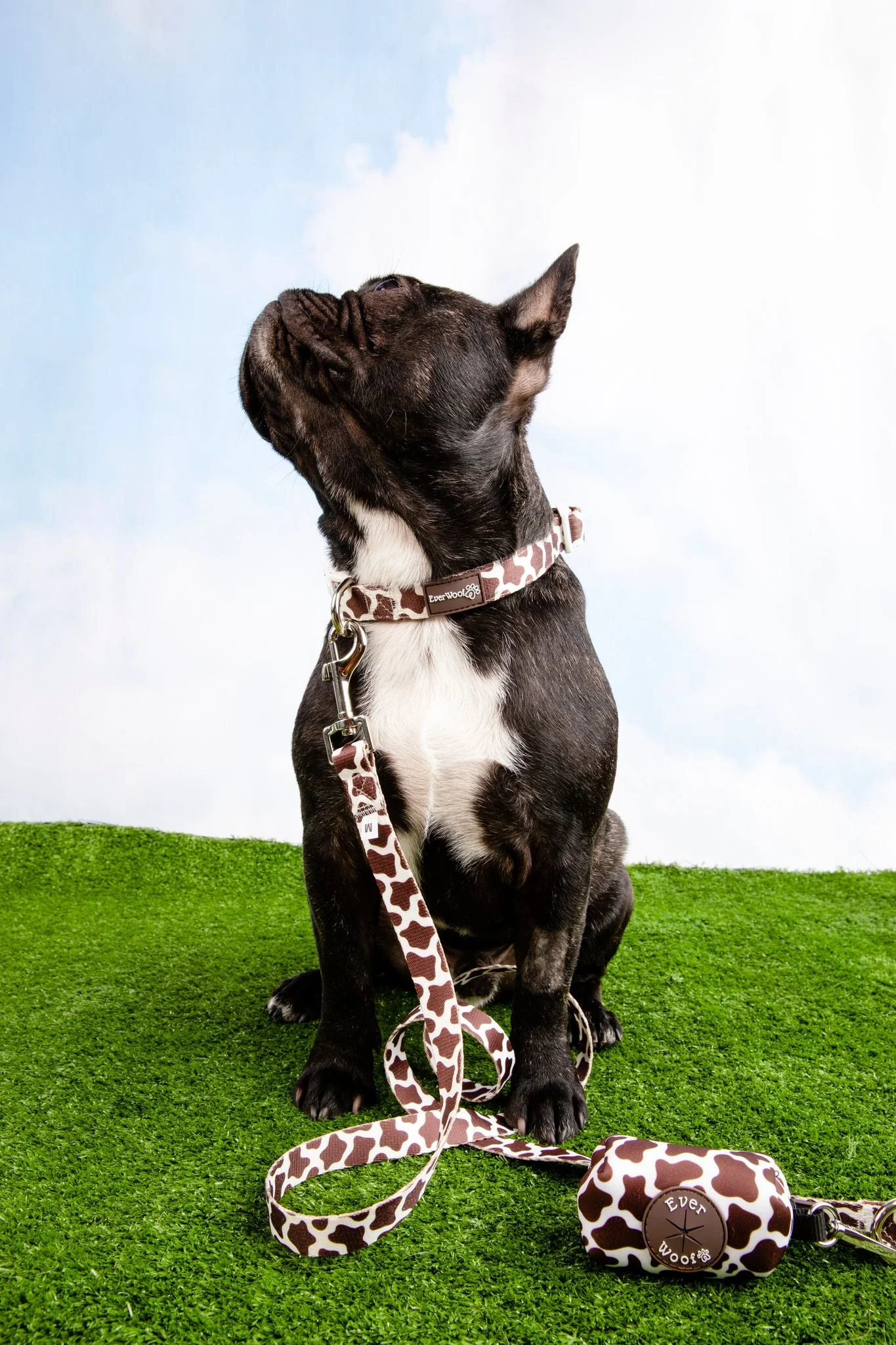 Chocolate Cow Leash - Image 2