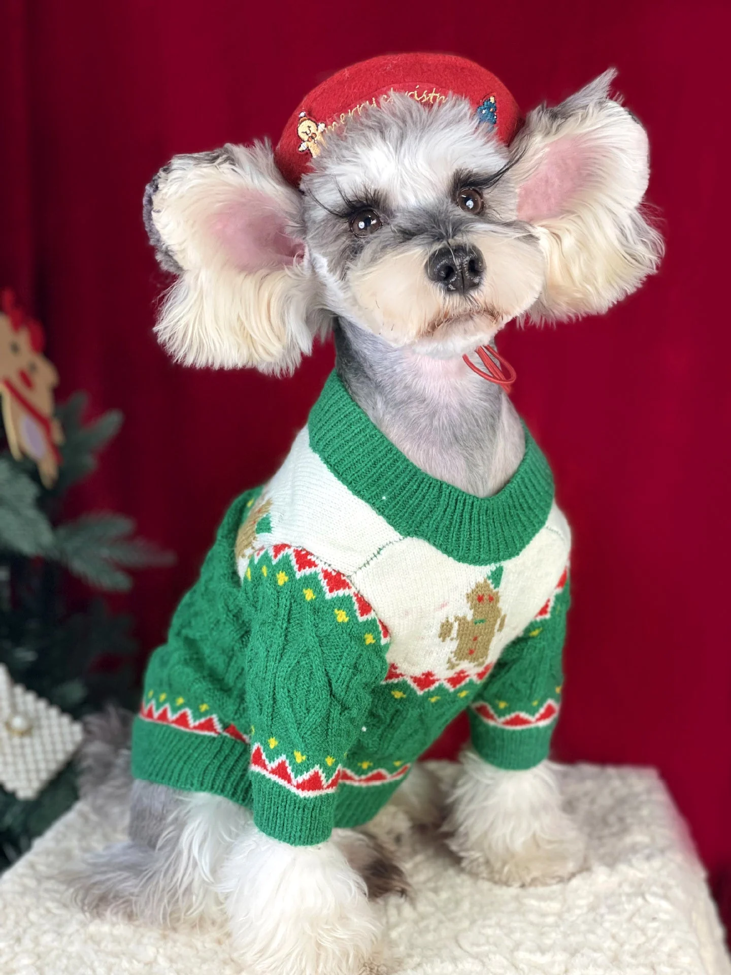 Christmas Dog Sweater  Cozy Knitted Holiday Pet Jumper Pullover with Gingerbread Design Warm Winter Apparel - Image 10