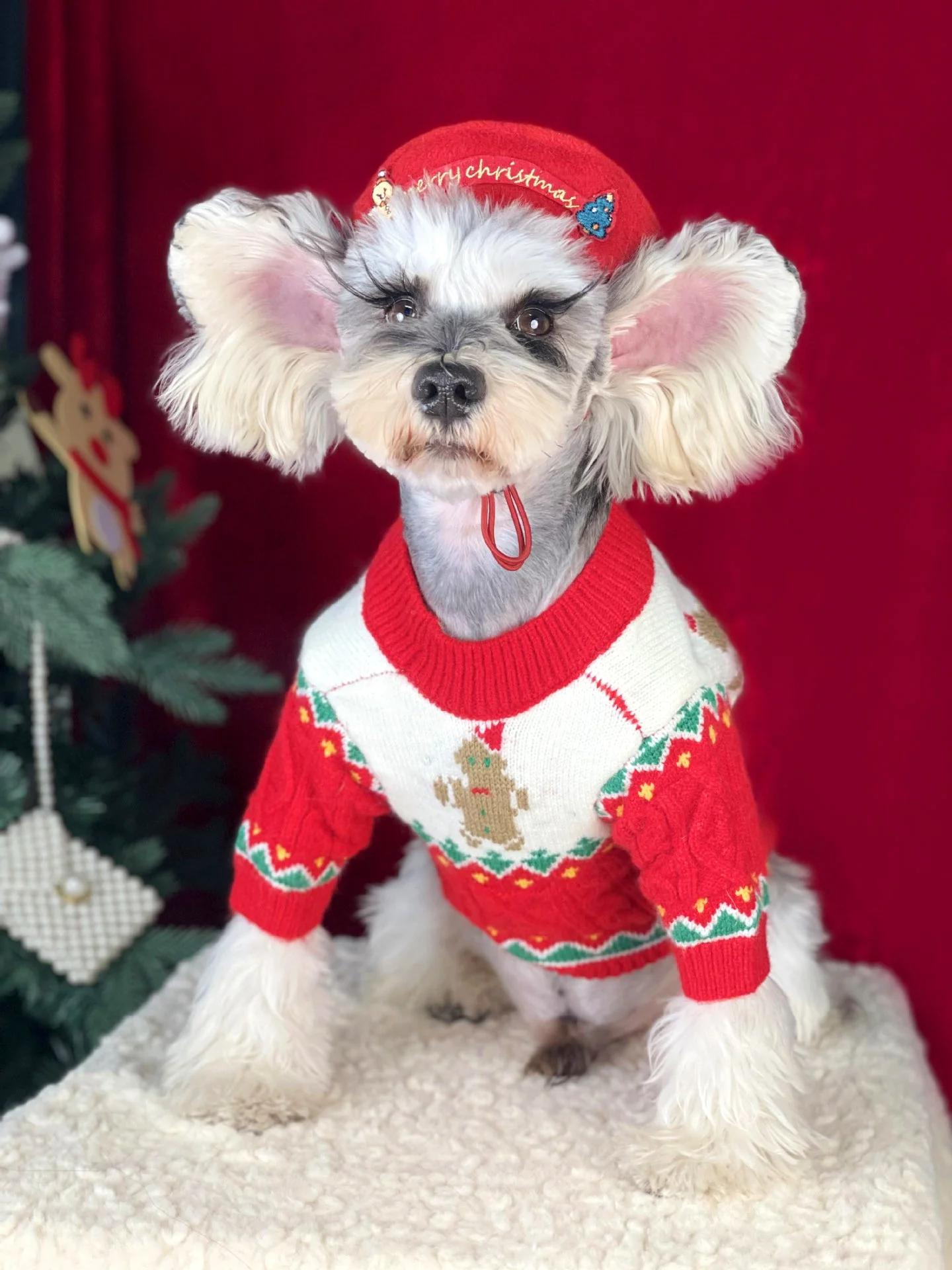 Christmas Dog Sweater  Cozy Knitted Holiday Pet Jumper Pullover with Gingerbread Design Warm Winter Apparel - Image 8