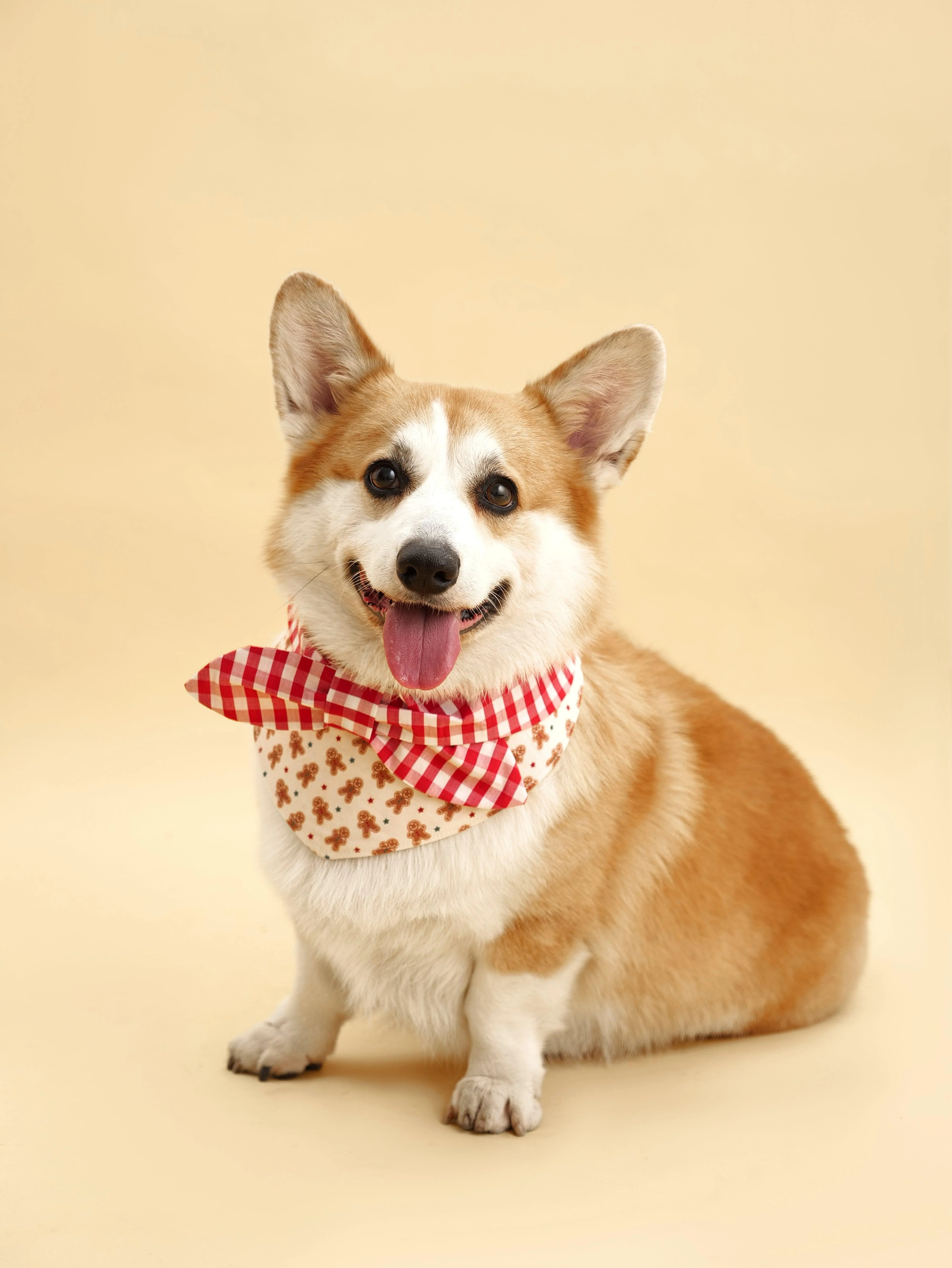 Christmas Morning Gingerbread Man Gingham Print Handmade Bandana - Image 2