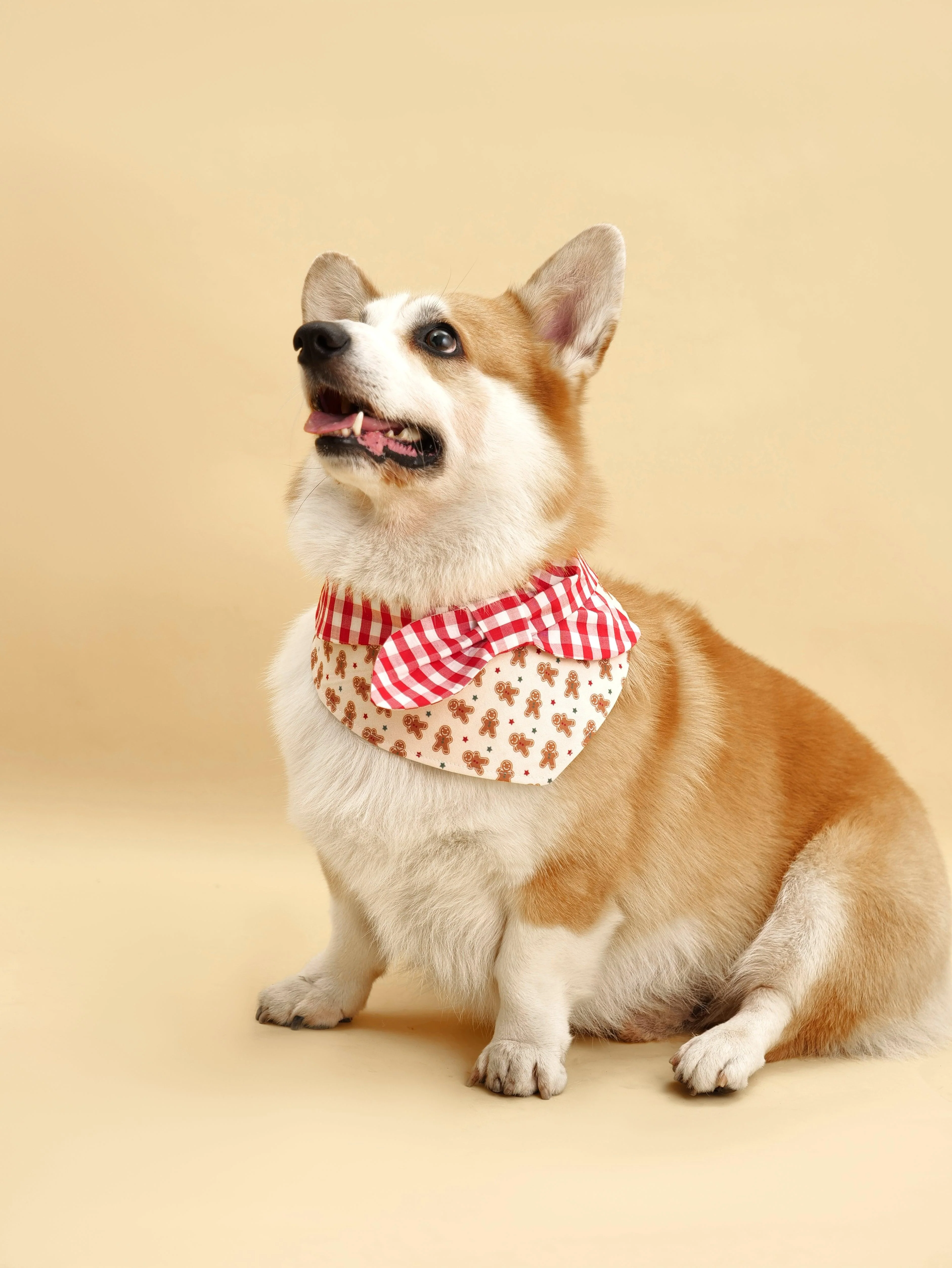 Christmas Morning Gingerbread Man Gingham Print Handmade Bandana - Image 5