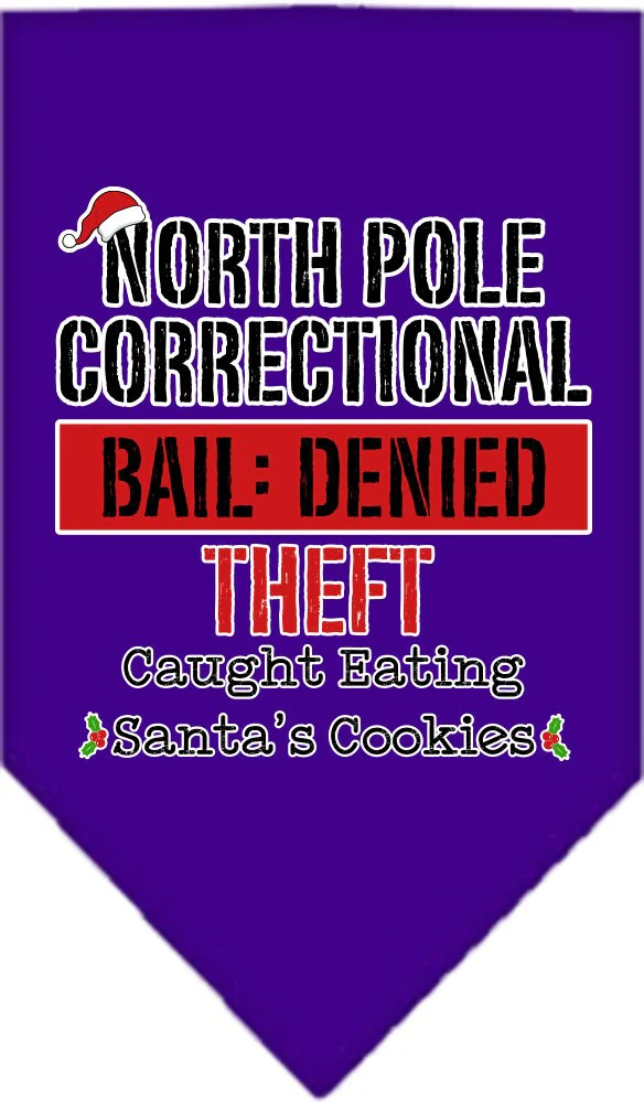 Christmas Pet and Dog Bandana Screen Printed, "North Pole Correctional" - Image 3