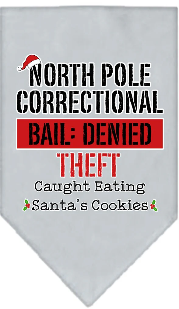 Christmas Pet and Dog Bandana Screen Printed, "North Pole Correctional" - Image 8