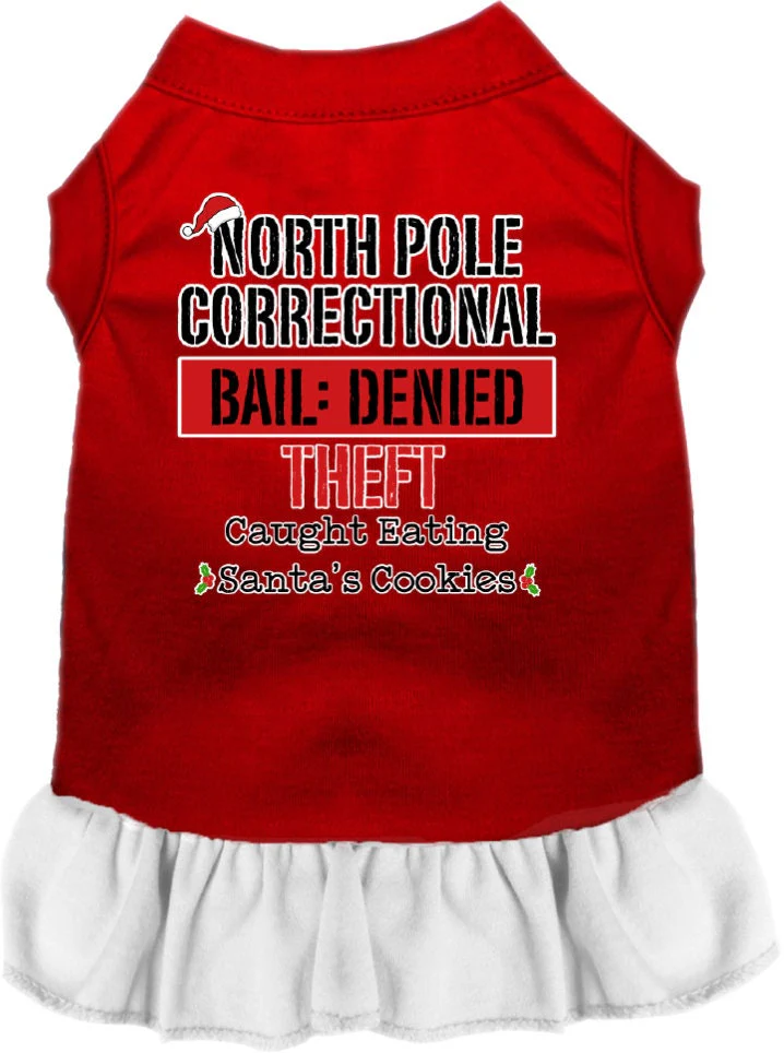 Christmas Pet Dress "North Pole Correctional" - Image 3