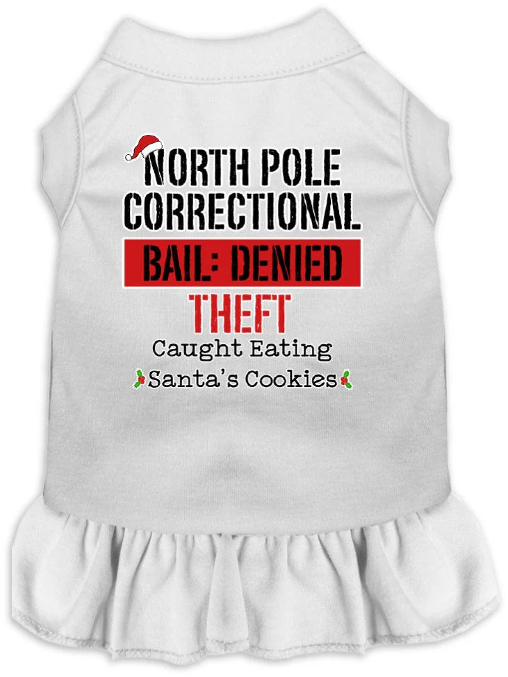Christmas Pet Dress "North Pole Correctional" - Image 4