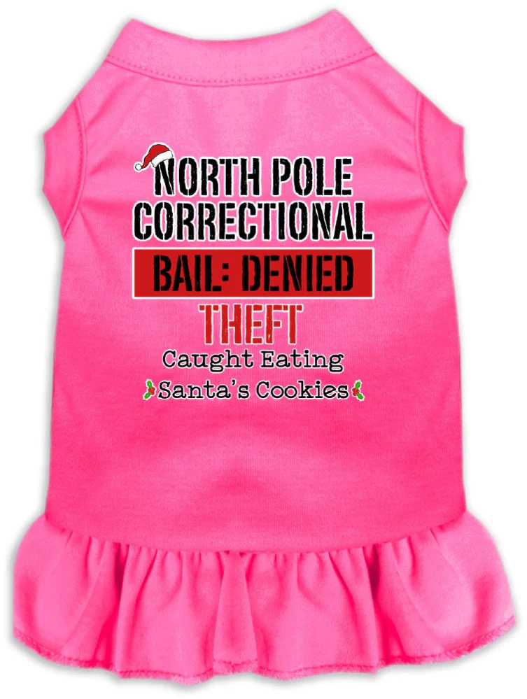 Christmas Pet Dress "North Pole Correctional" - Image 6