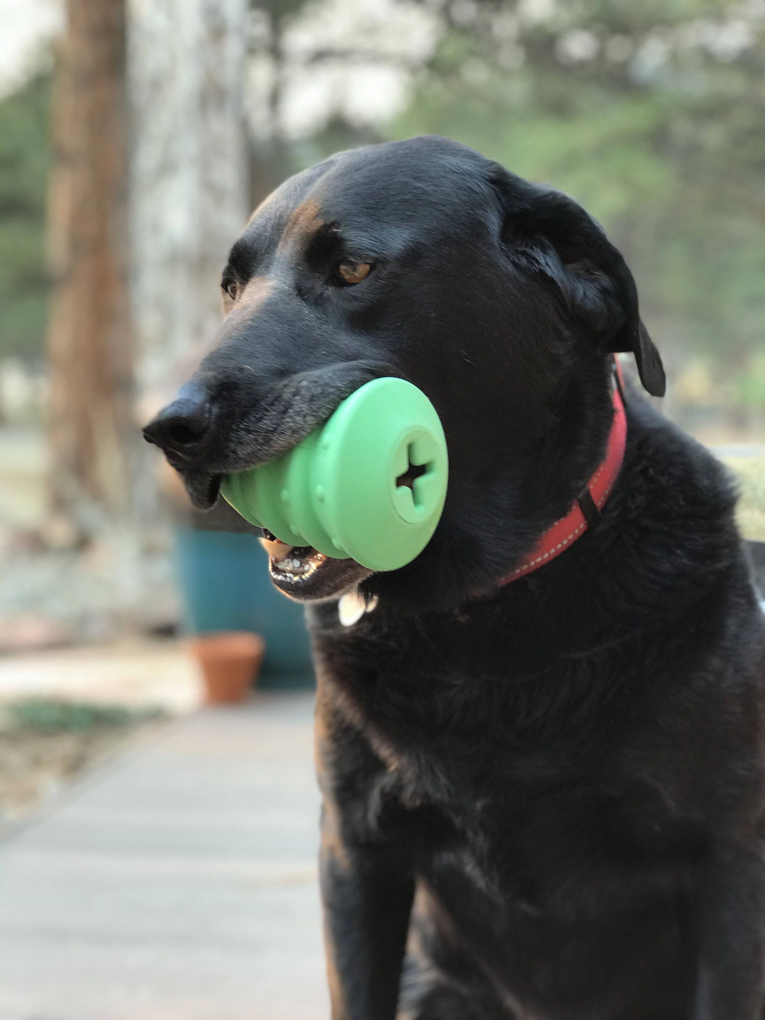 Christmas Tree Dog Toy - Durable Rubber Chew Toy for Large Dogs | USA Made - Image 5