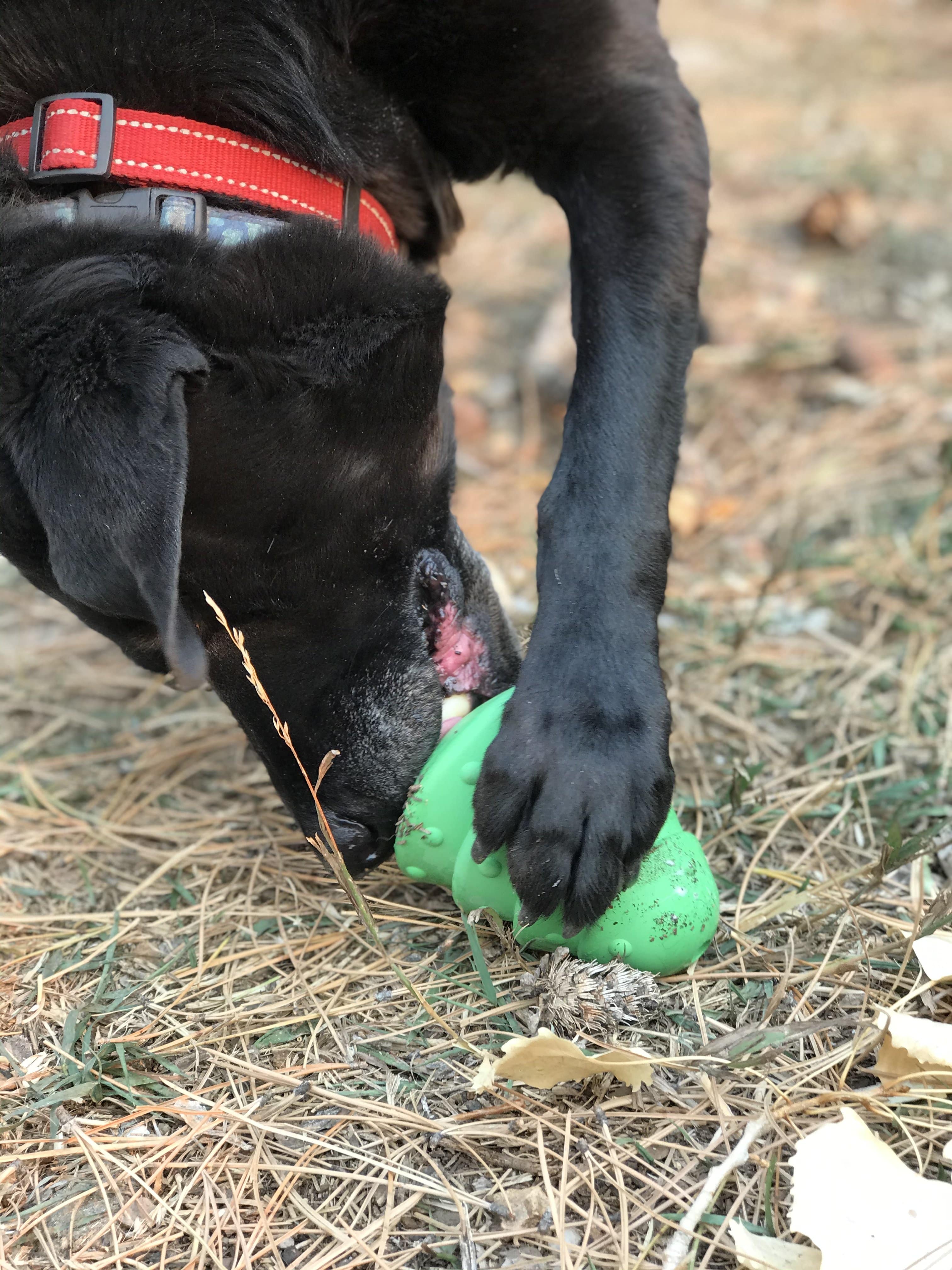 Christmas Tree Dog Toy - Durable Rubber Chew Toy for Large Dogs | USA Made - Image 8