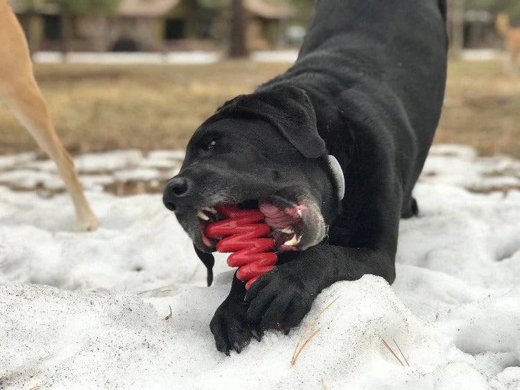 Christmas Tree Nylon Dog Chew Toy for Aggressive Chewers | USA Made & FDA Compliant - Image 5
