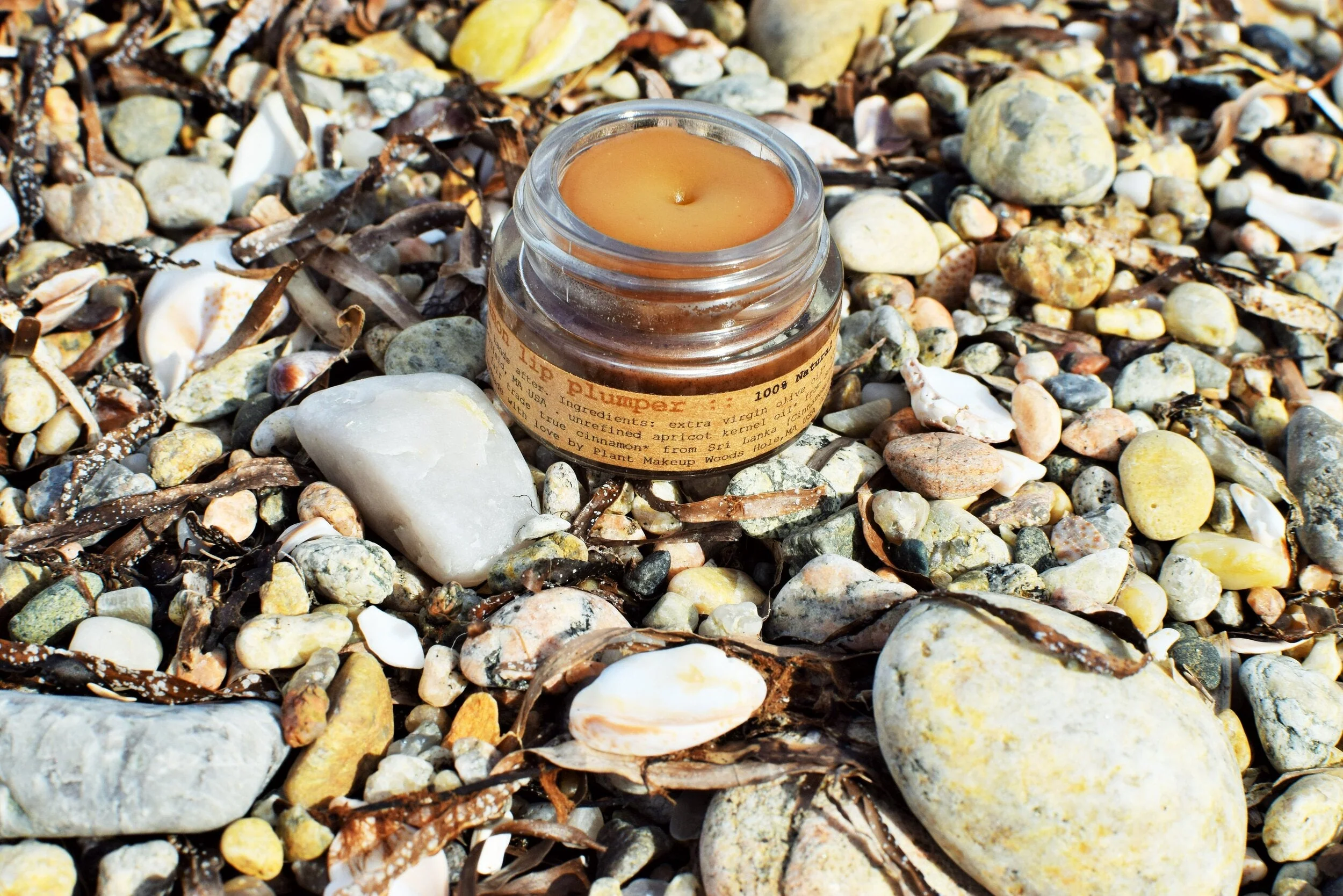 Cinnamon Lip Plumper - Image 12