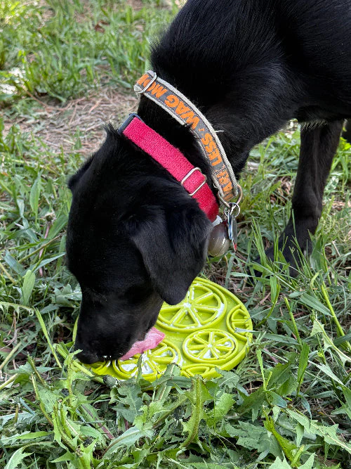 Citrus Design eMat - Enrichment Lick Mat For Dogs and Cats - with Suction Cups | USA Made - Image 6