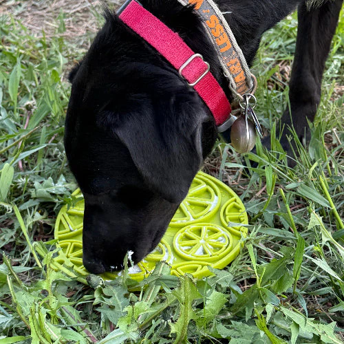 Citrus Design eMat - Enrichment Lick Mat For Dogs and Cats - with Suction Cups | USA Made - Image 7