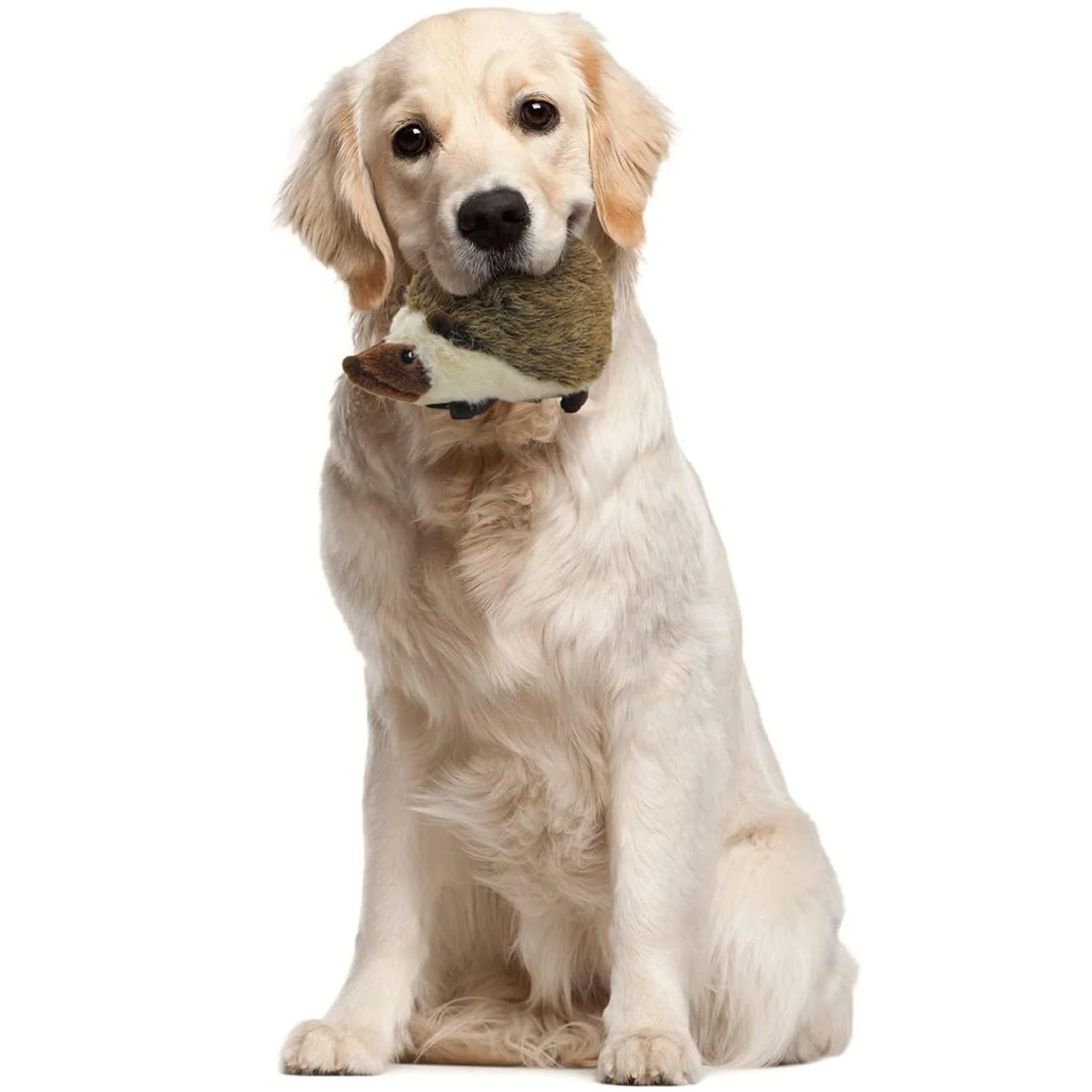 Classic - Dog Toys - Squeaky Dog Hedgehog Toys for Dogs - Image 6