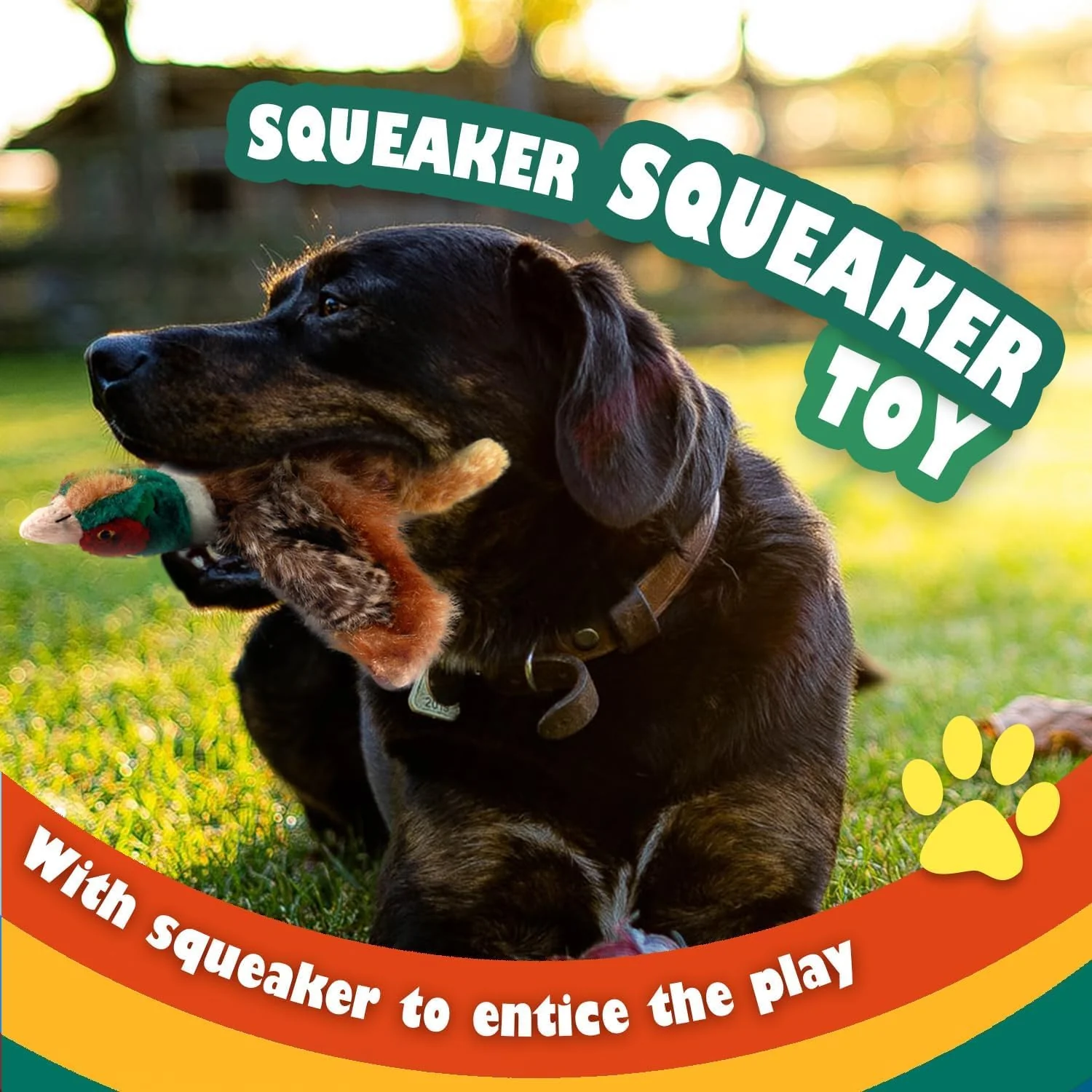 Classic - Dog Toys - Squeaky Dog Pheasant Toys for Dogs - Image 2
