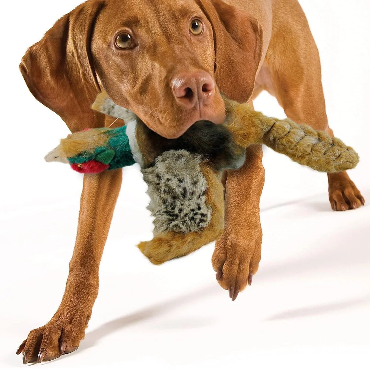 Classic - Dog Toys - Squeaky Dog Pheasant Toys for Dogs - Image 7