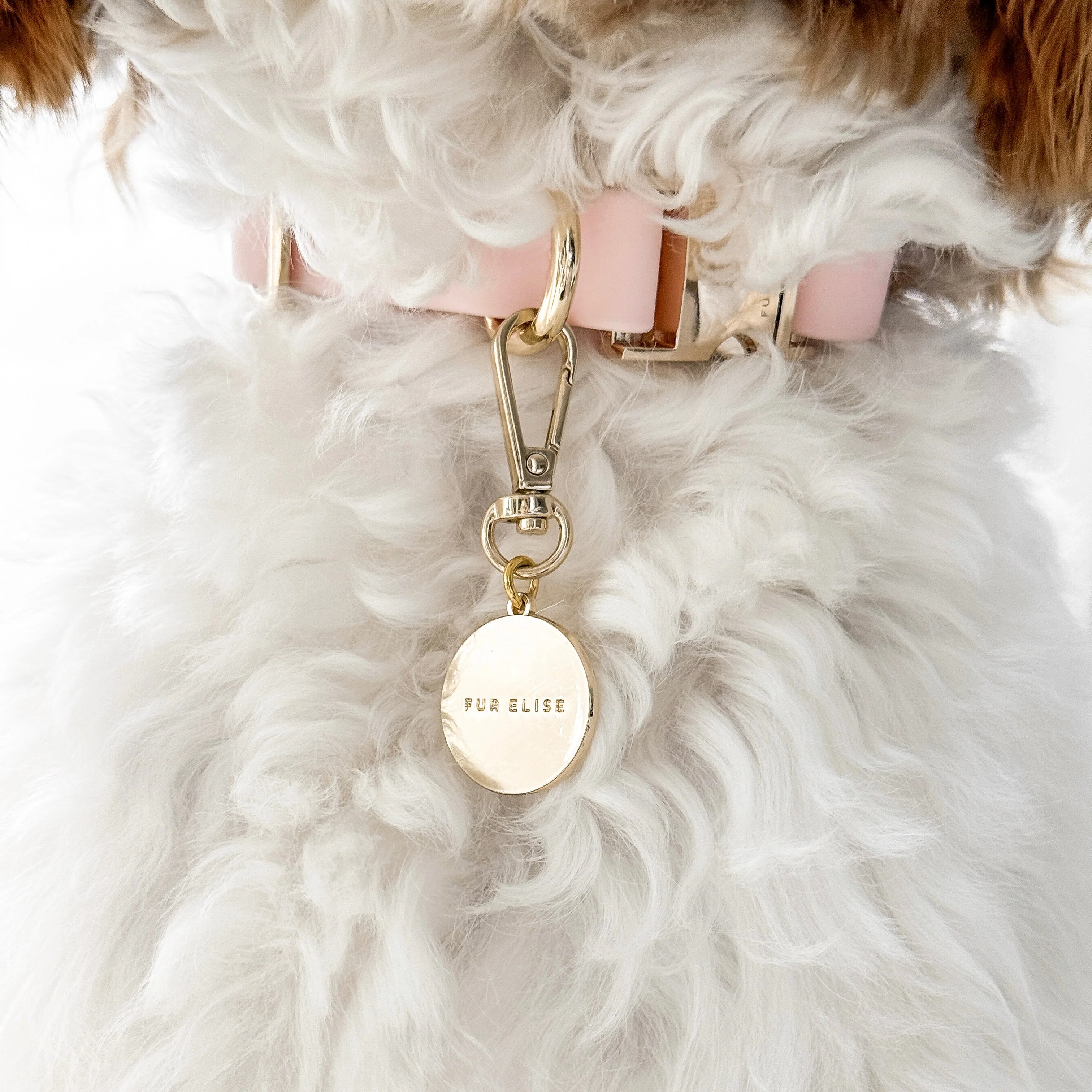 Classic Logo Charm - Image 6