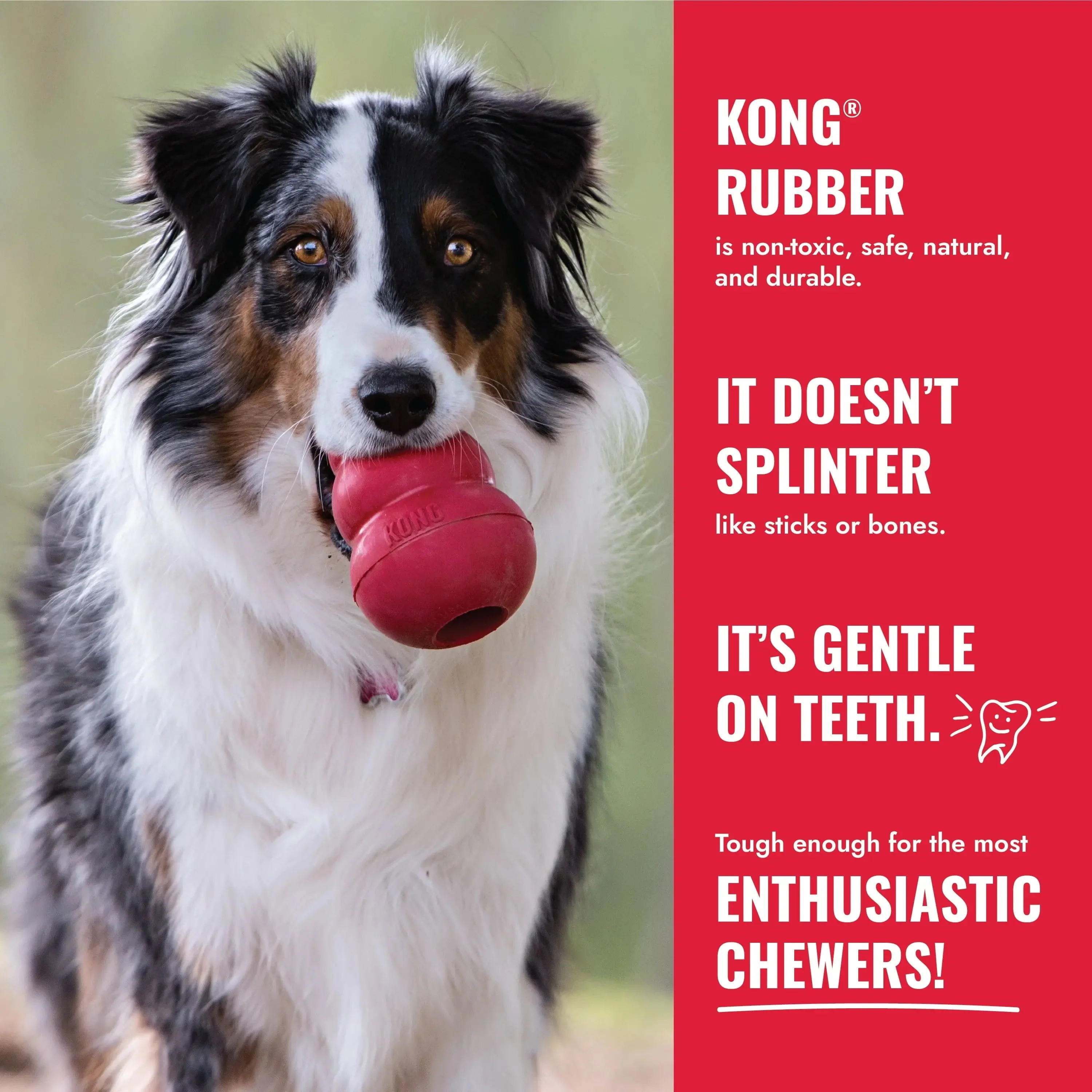 Classic Stuffed Dog Chew Toy, XXL - Image 8