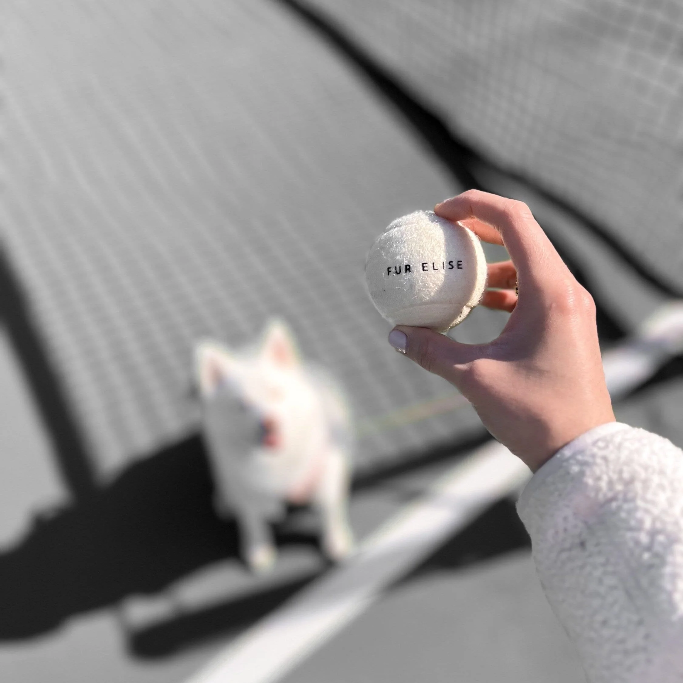 Classic Tennis Ball - Bone - Image 2