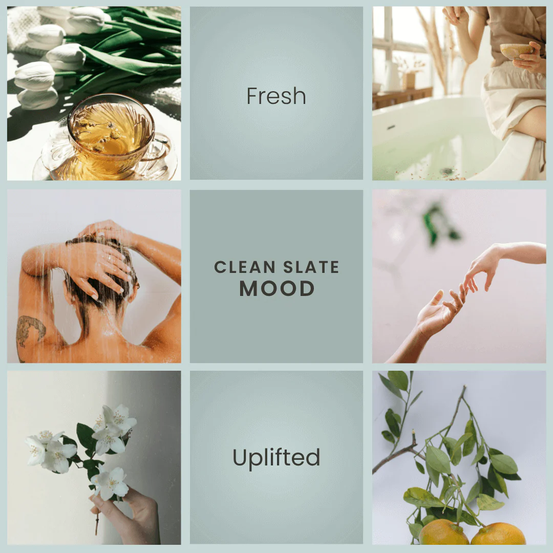 Clean Slate – White Tea & Jasmine Room Spray - Image 3