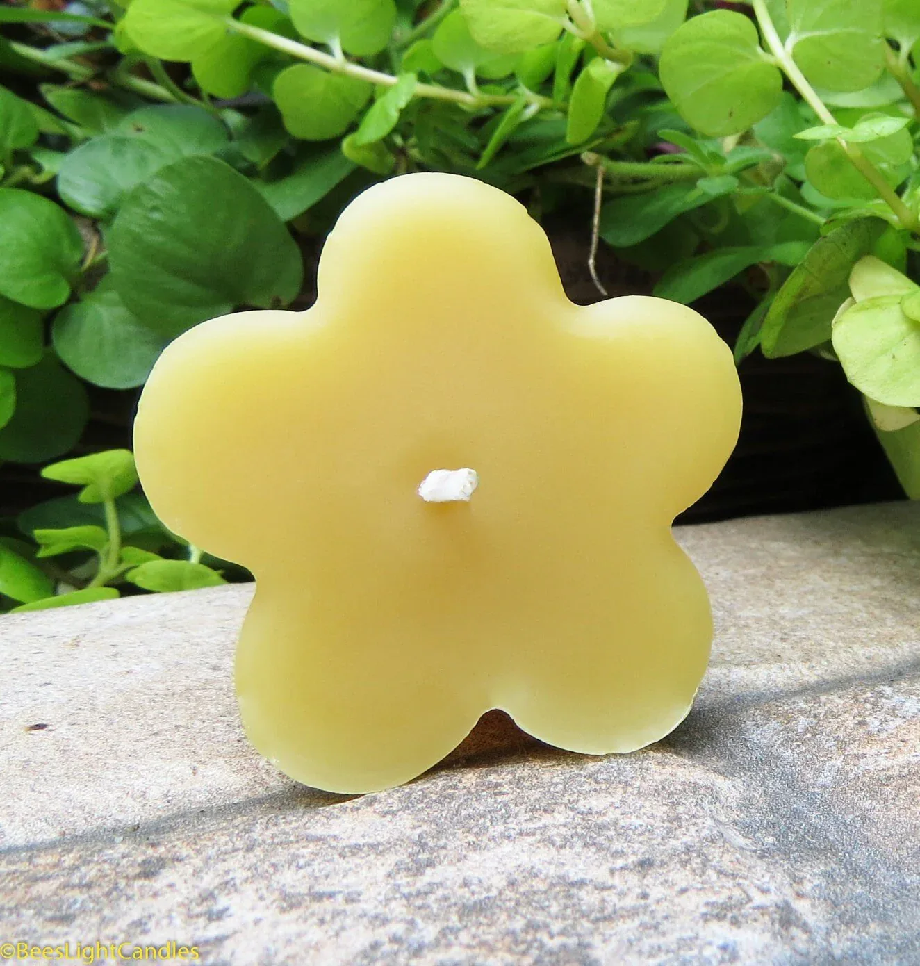 Clover Floating Beeswax Candles - Image 3