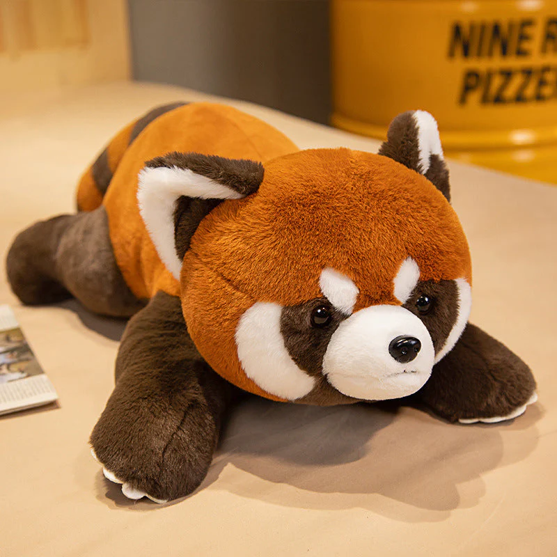 Coati Doll Plush Toys Cute - Image 11