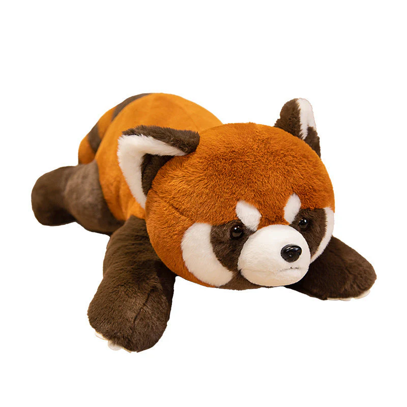 Coati Doll Plush Toys Cute - Image 12