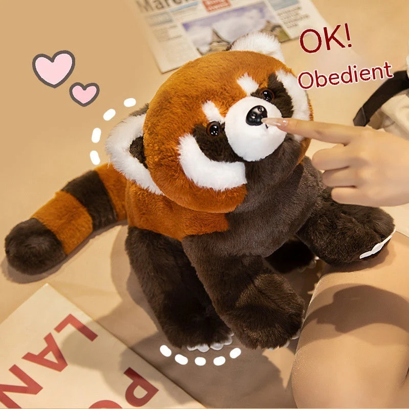 Coati Doll Plush Toys Cute - Image 2
