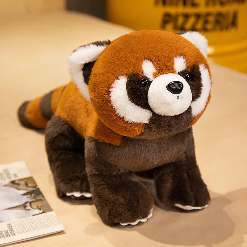 Coati Doll Plush Toys Cute - Image 4