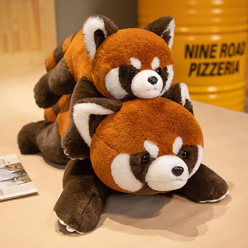 Coati Doll Plush Toys Cute - Image 6