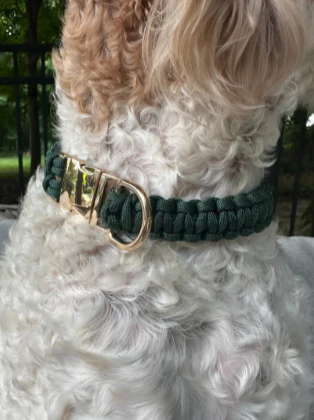 Cobra Braid in Emerald Green - Handmade Dog Collar - Image 2