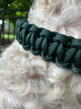 Cobra Braid in Emerald Green - Handmade Dog Collar - Image 3