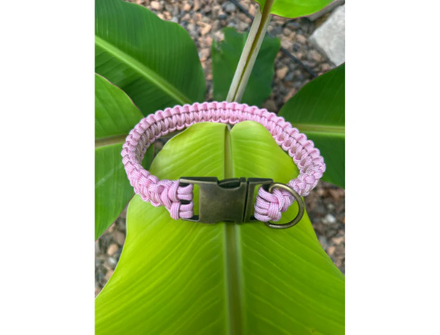 Cobra Braid in Pink & White Stripes - Handmade Dog Collar - Image 3
