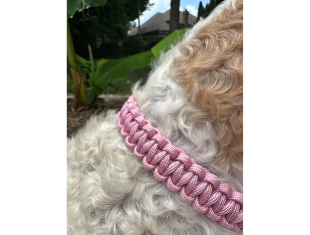 Cobra Braid in Pink & White Stripes - Handmade Dog Collar - Image 5