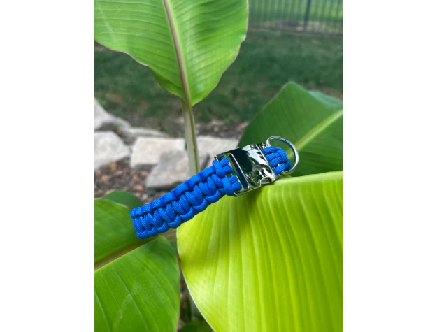 Cobra Braid in Royal Blue - Handmade Dog Collar - Image 4