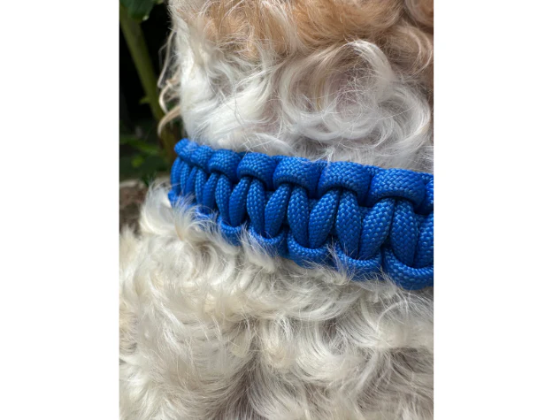 Cobra Braid in Royal Blue - Handmade Dog Collar - Image 6