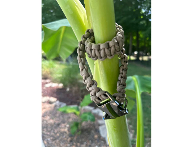Cobra Braid in Tan - Handmade Dog Collar - Image 4
