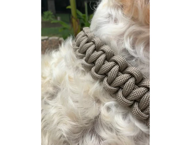 Cobra Braid in Tan - Handmade Dog Collar - Image 7