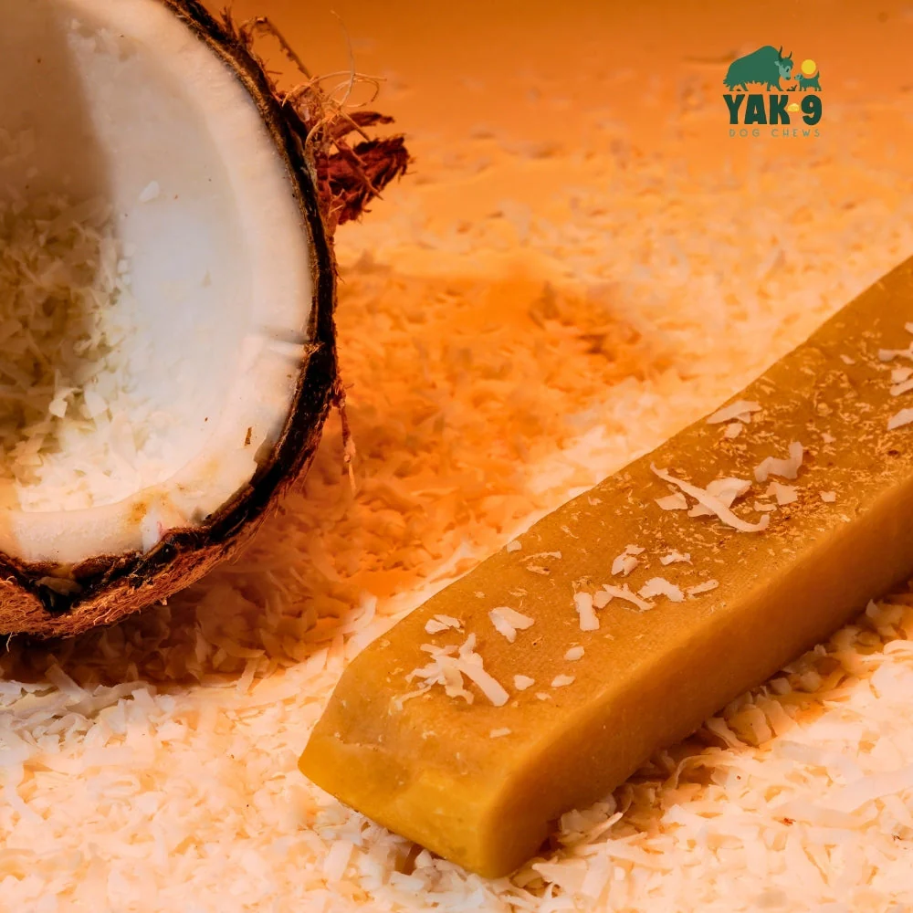 Coconut Cheese Chews for Dogs - Image 3