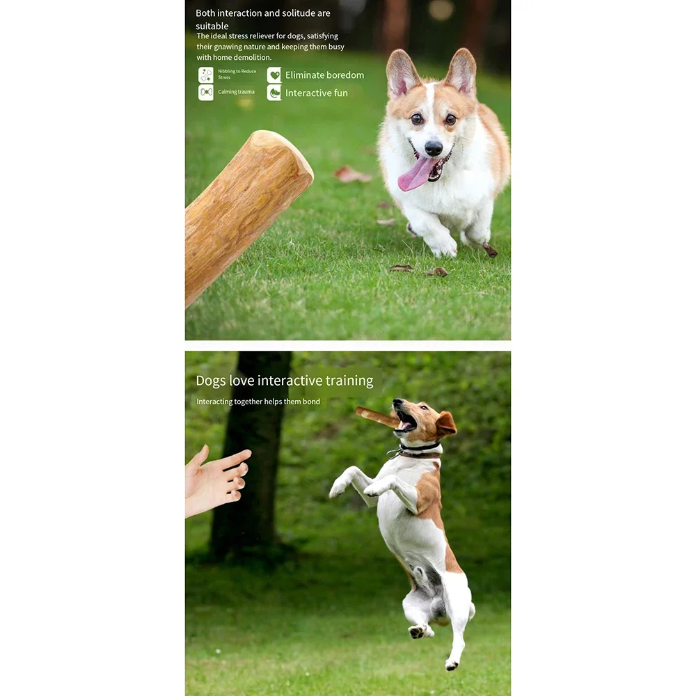 Coffee Wooden Dog Chew Stick – Tooth Pressure Relief Toy - Image 4