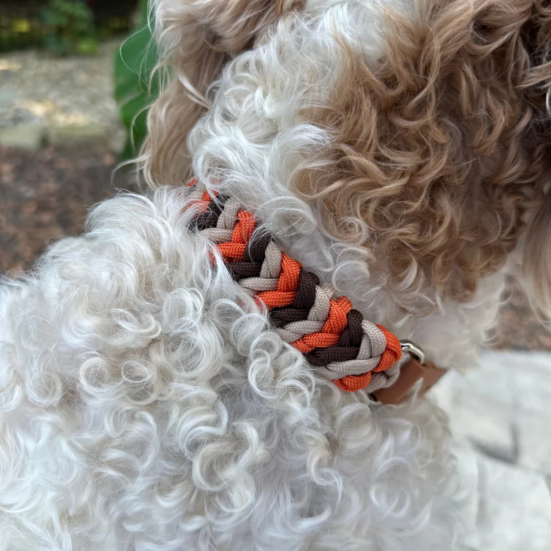 Coiled Charm Hand Braided Dog Collar in Burnt Orange, Walnut Brown, & Light Tan - Image 13